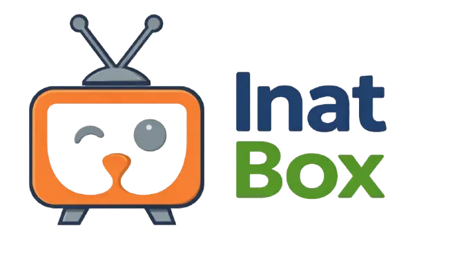 İnat Box APK yüksek kaliteli canlı TV ve video akışı arayüzü